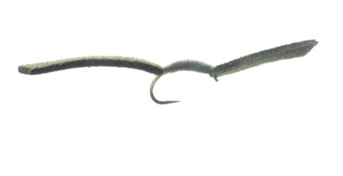 Cannons Worm - Olive